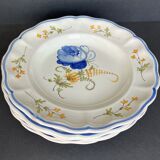 5 earthenware plates