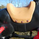 Vintage carousel riding horse