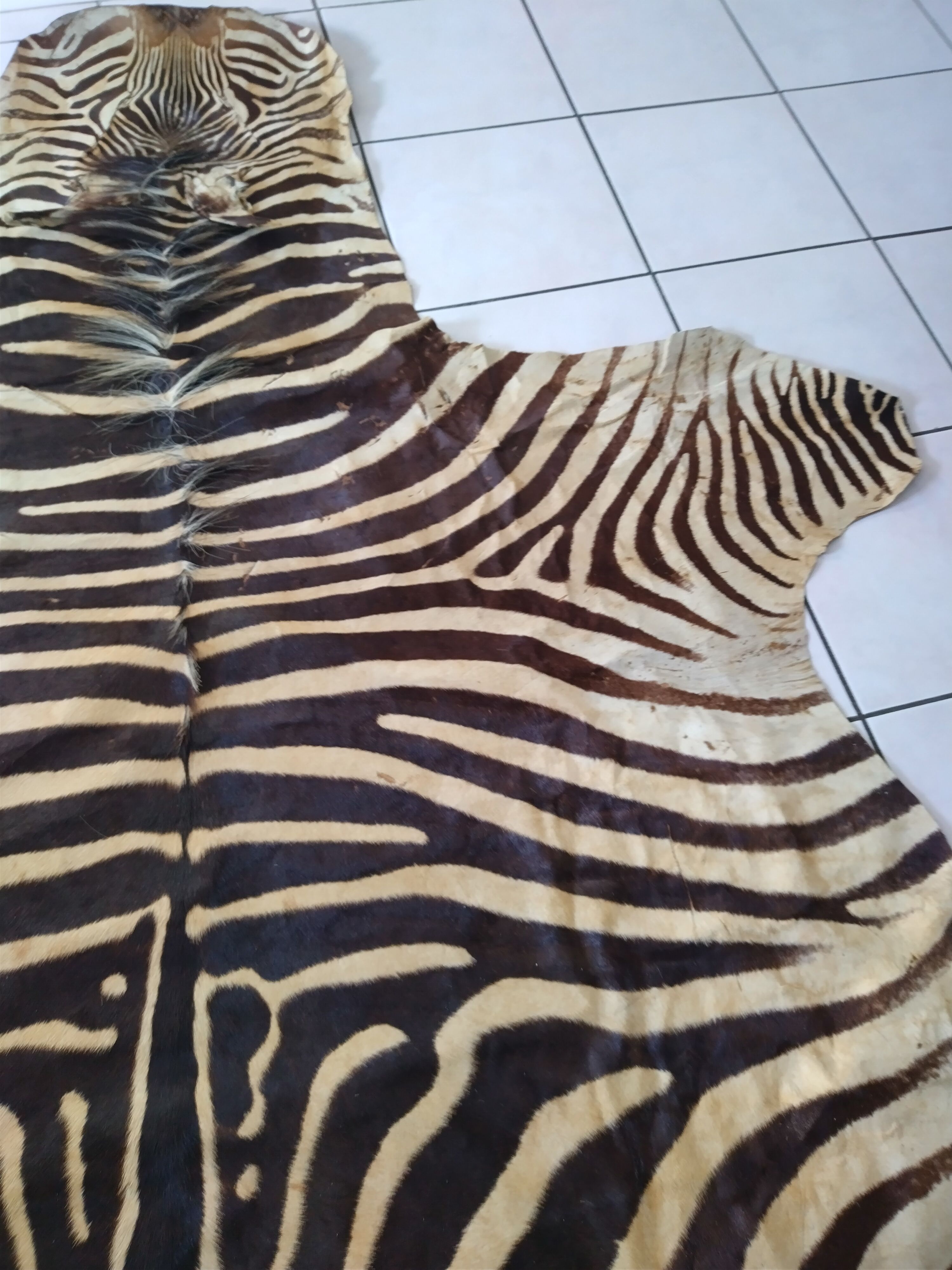 Zebra skin