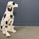 Sculpture en terre cuite d'un Setter anglais, années 1970
