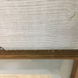 Ornithological engraving