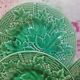 5 plates vine and basketry in slurry by Gien