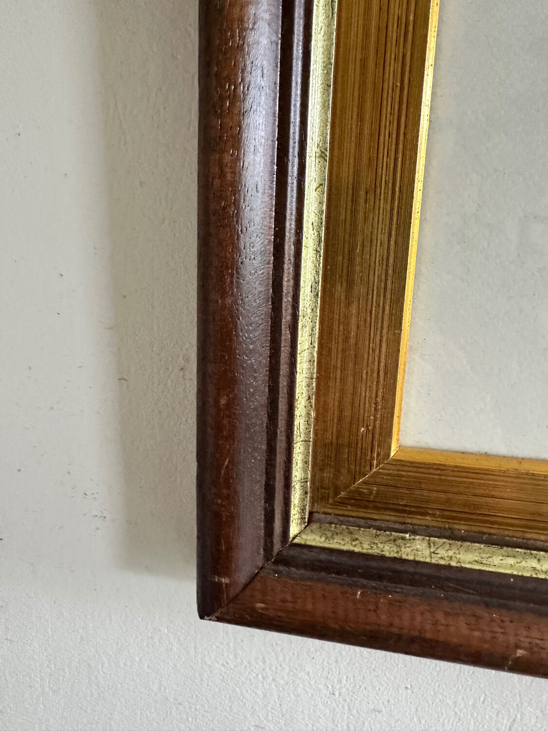 Antique illustration of a bird. Antique framed illustration of a bird.