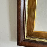 Antique illustration of a bird. Antique framed illustration of a bird.