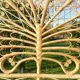 Peacock double rattan headboard