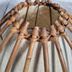 Paire abats jour, rotin, vintage, années 60