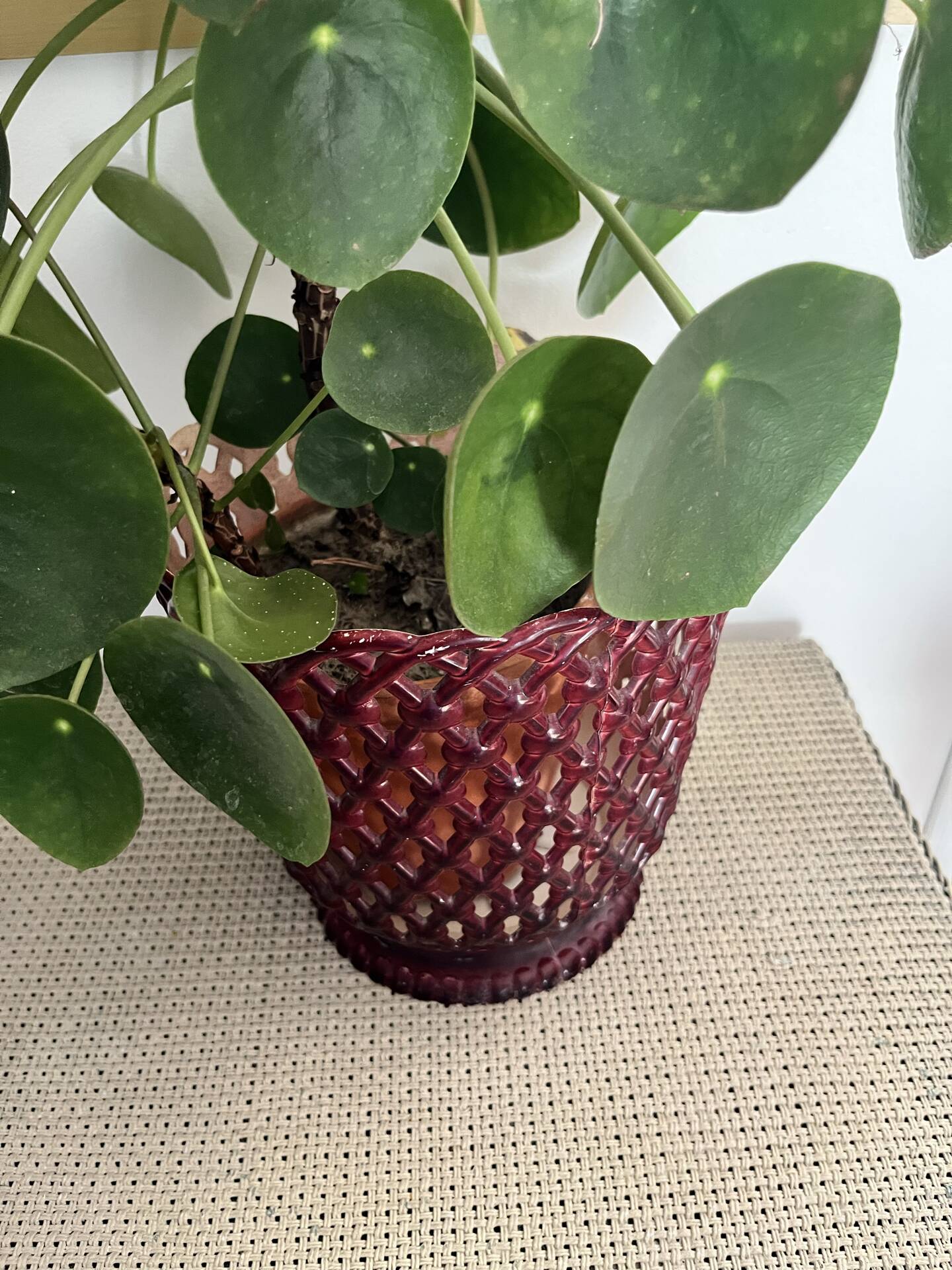 Cache pot en plastique