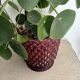 Cache pot en plastique