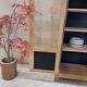 GLASS CABINET IN SOLID OAK