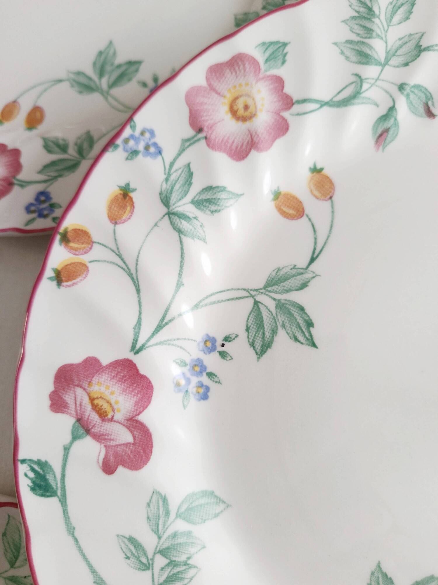 Set of 5 flat plates Churchill, Briar Rose