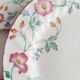 Set of 5 flat plates Churchill, Briar Rose