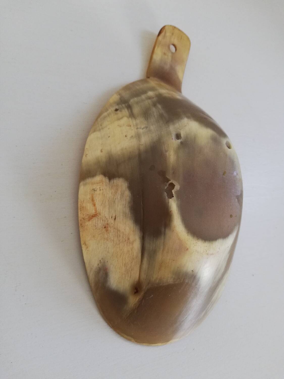 Natural horn bowl/empty-pocket