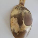 Natural horn bowl/empty-pocket