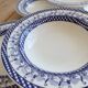 6 vintage deep plates with blue goose vichy decor