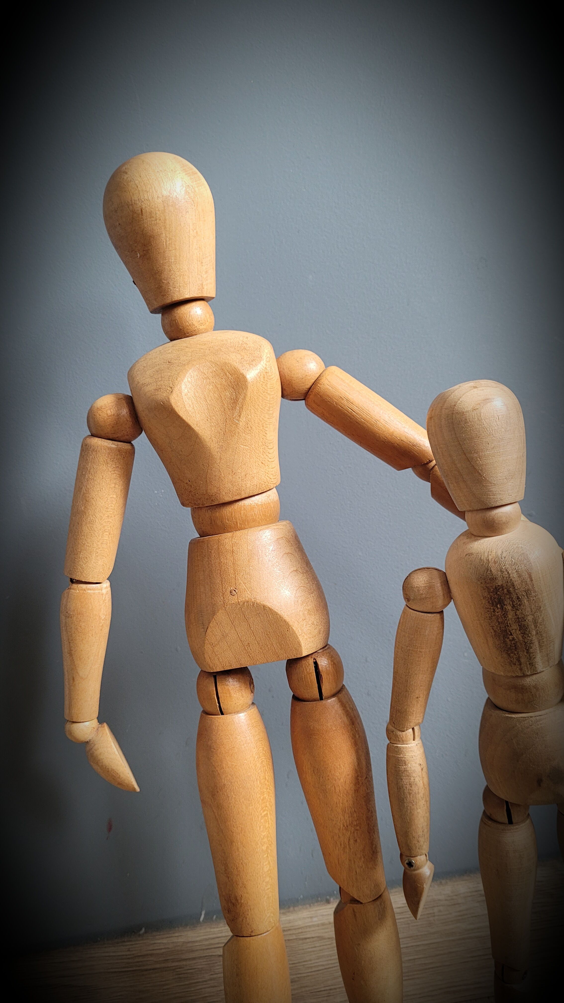 BHV MARAIS Pantin wood