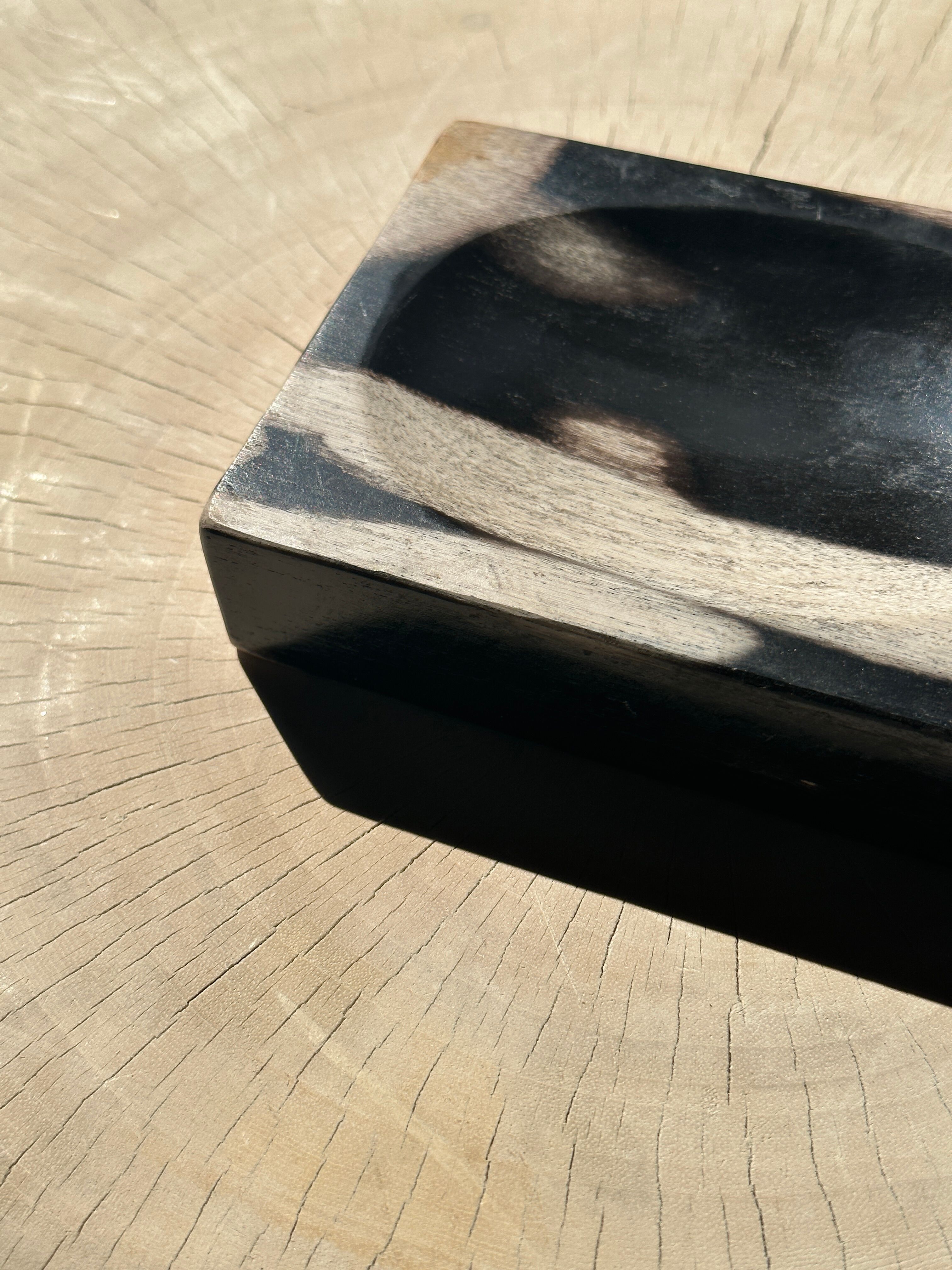 Symmetrical multicolored petrified wood soap dish