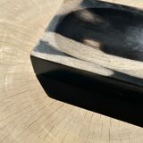 Symmetrical multicolored petrified wood soap dish