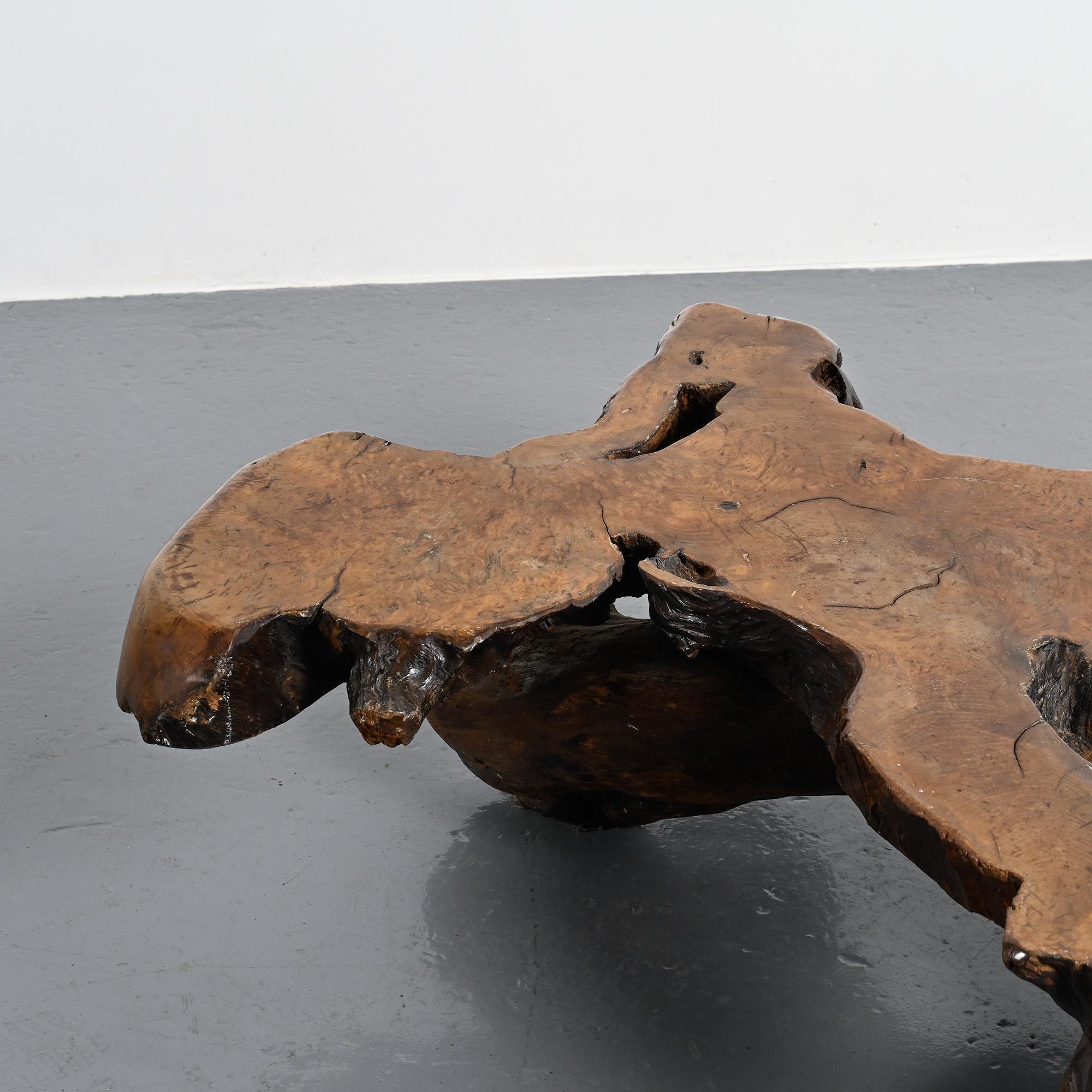 Table basse brutaliste en loupe d'orme, circa 1960
