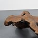 Table basse brutaliste en loupe d'orme, circa 1960