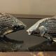 Pair of vintage fish mail holders in silver metal