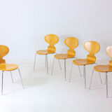 Special set of 5 Ant chairs by Fritz Hansen