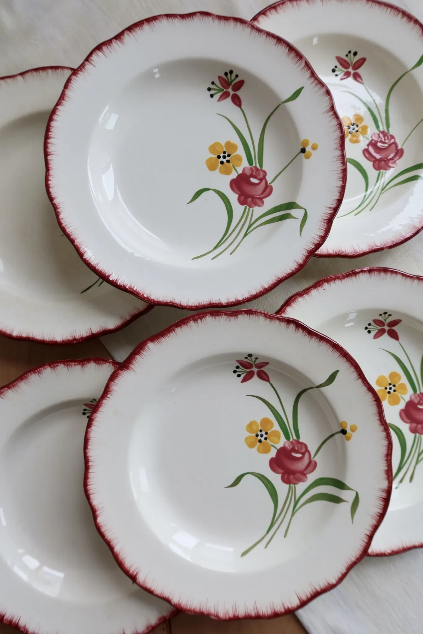 6 assiettes creuses vintage terre de fer Salins modèle Pierrette
