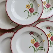 6 vintage deep plates Terre de Fer Salins model Pierrette