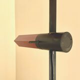 Caltha floor lamp by Gianfranco Frattini, Luci, Italy, 1981