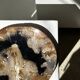 Large empty pocket or dish in petrified wood