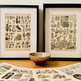 Lithograph engraving on pottery from 1897