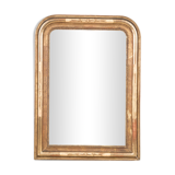 Mirror with Floral Etchings 66x92cm