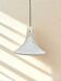 Rare "Trompette" pendant lamp by Glashütte Limburg – 1970s