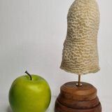 Ancien corail oblong sur socle en bois 24 cm