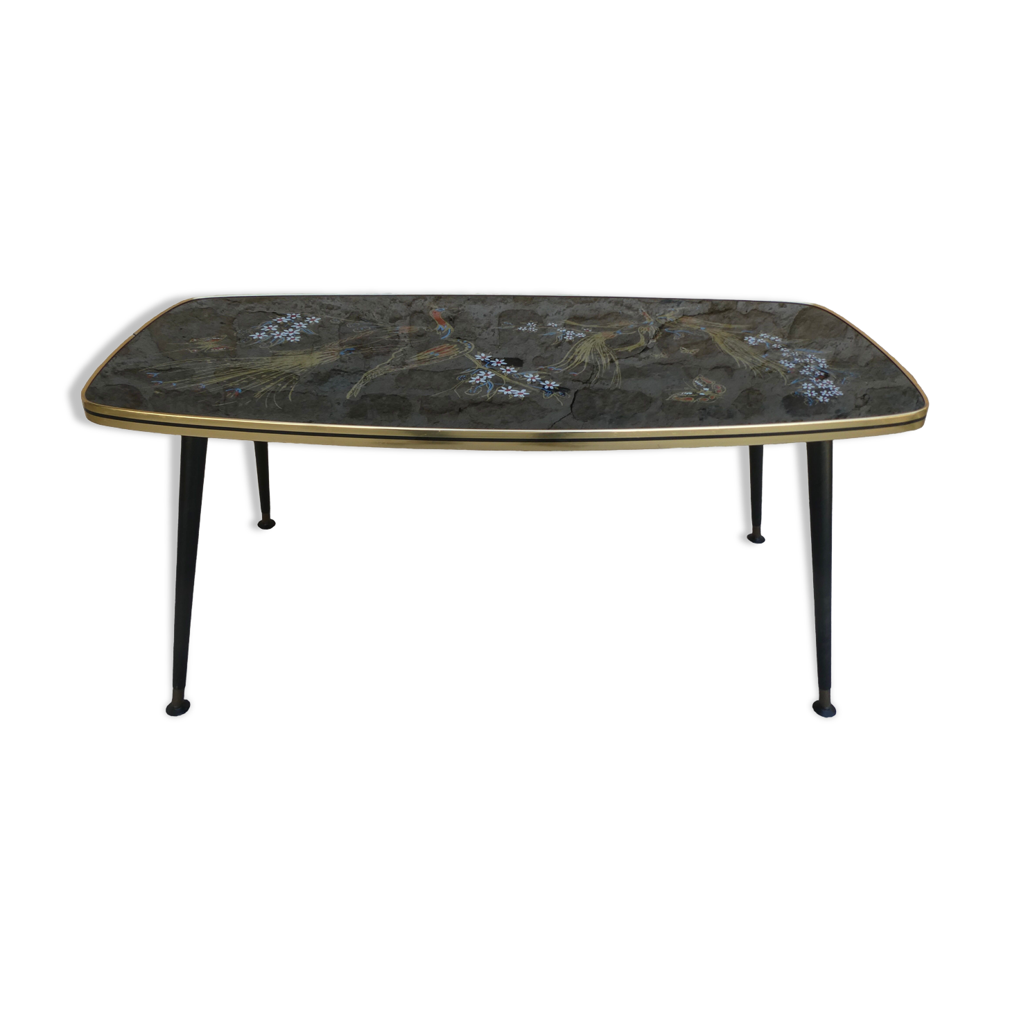 Coffee table from the 50s, tropical bird decor