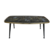 Table basse des années 50, décor oiseaux tropicaux