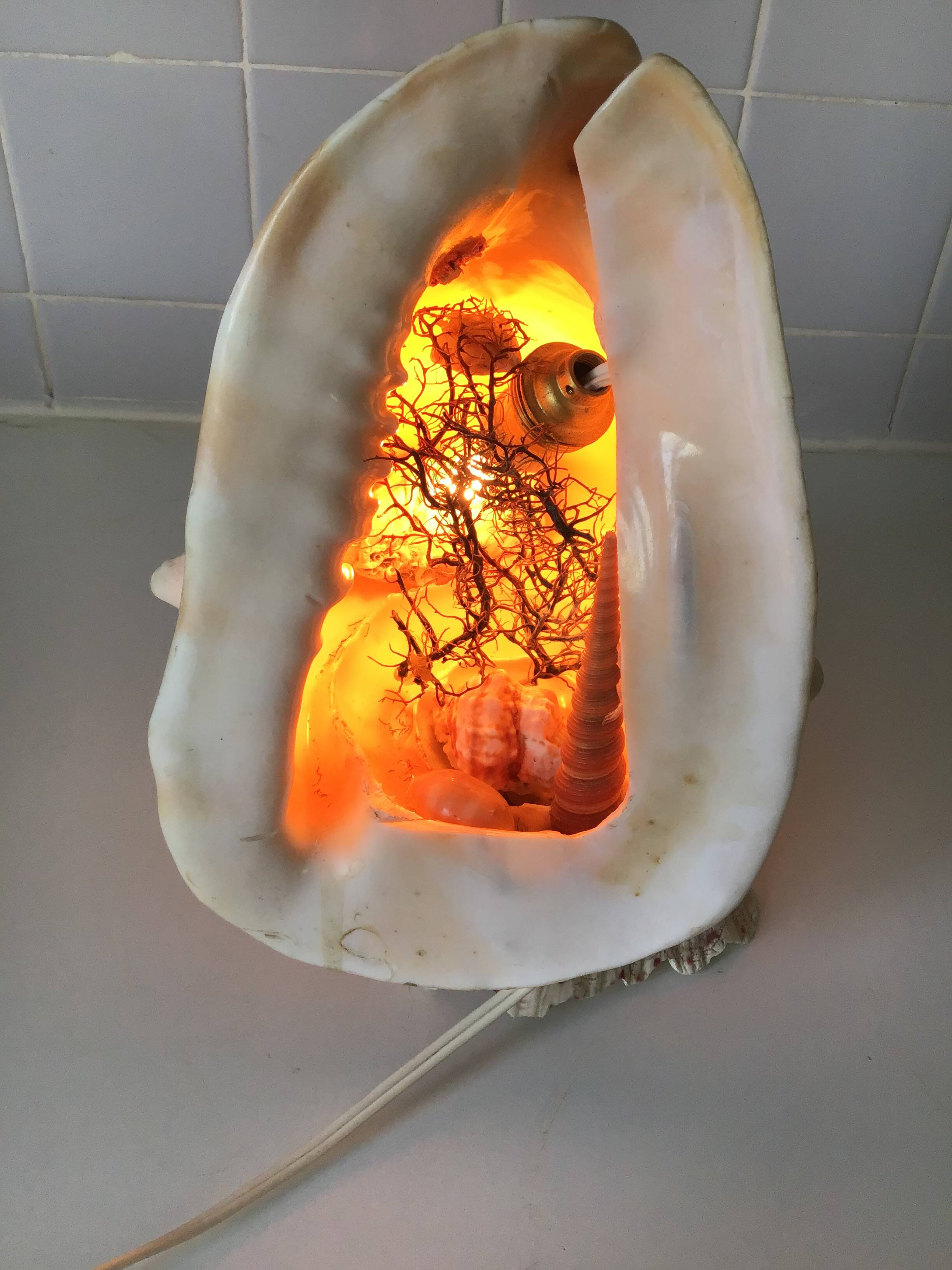 Vintage shell bedside lamp