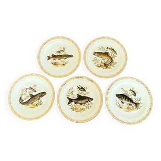 Set of Five Limoges Porcelain Fish Plates.