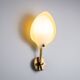 Arnold Wiigs wall lamp from plastic and brass