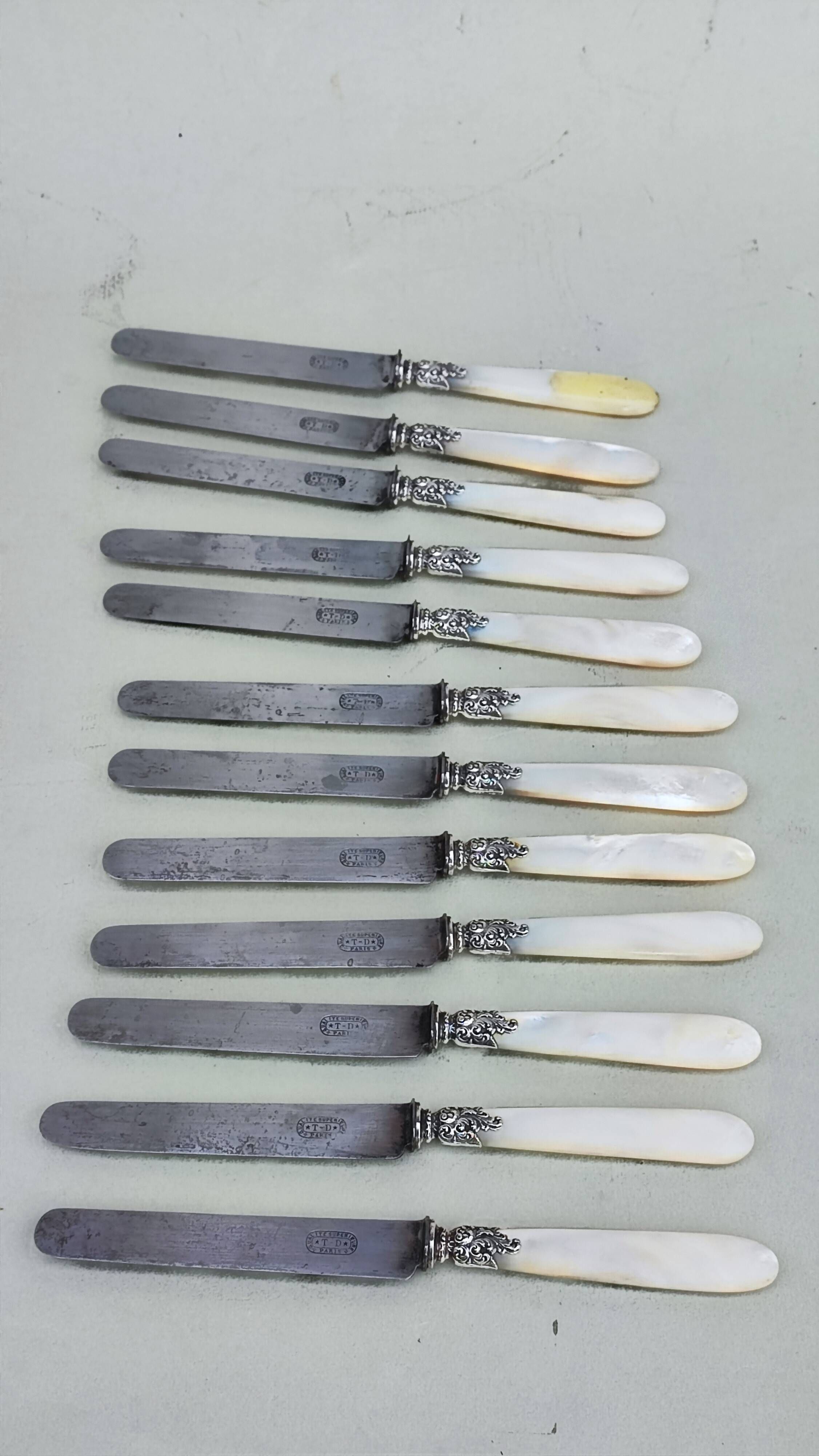 12 couteaux à fruits et leur écrin