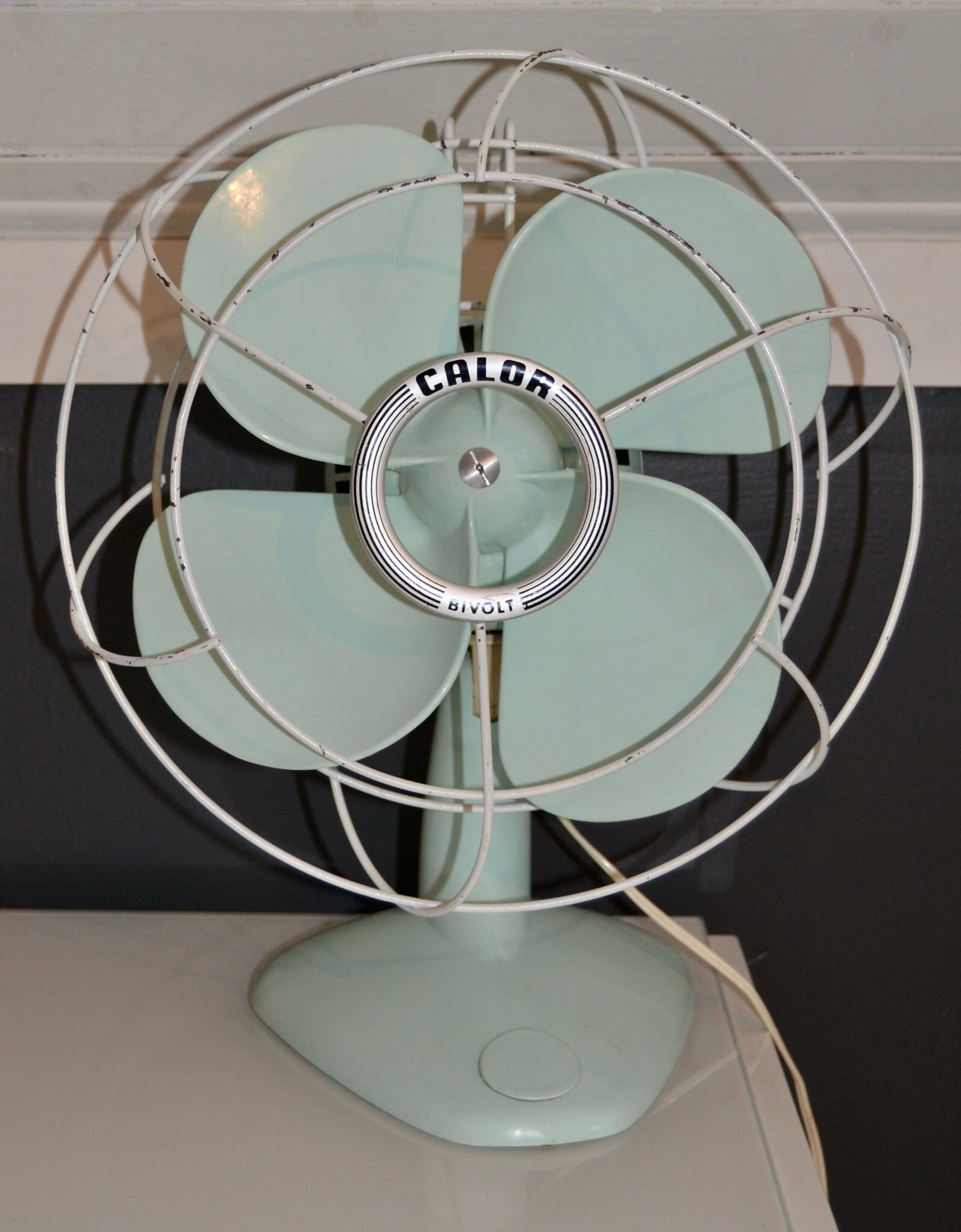 CALOR green mint (fan)