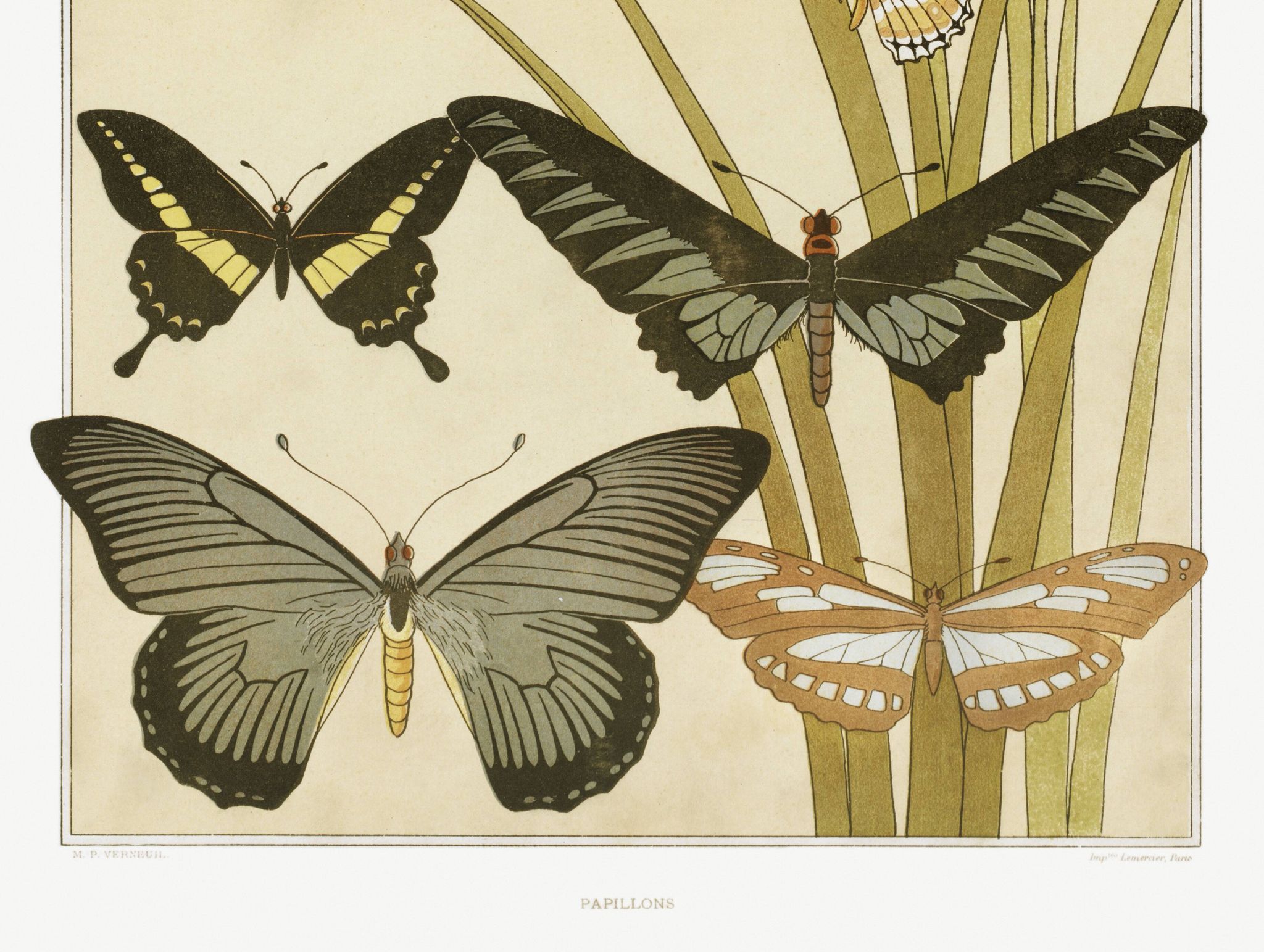 Poster “Butterflies”, after an Art Nouveau lithograph from 1897