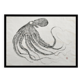 Original print of an octopus