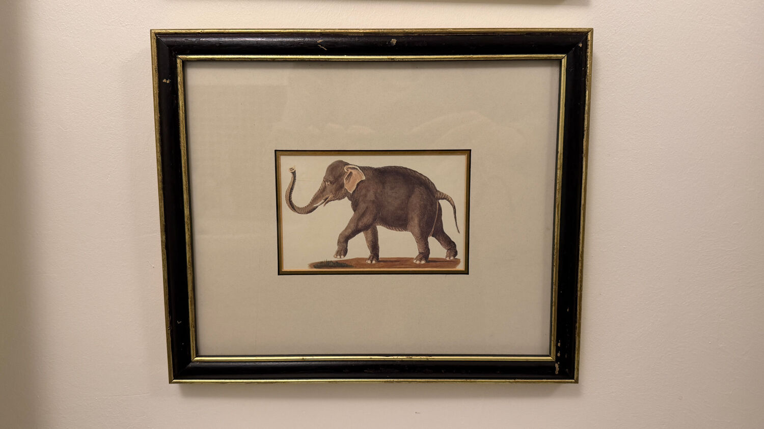 Ensemble de trois gravures animalières style histoire naturelle