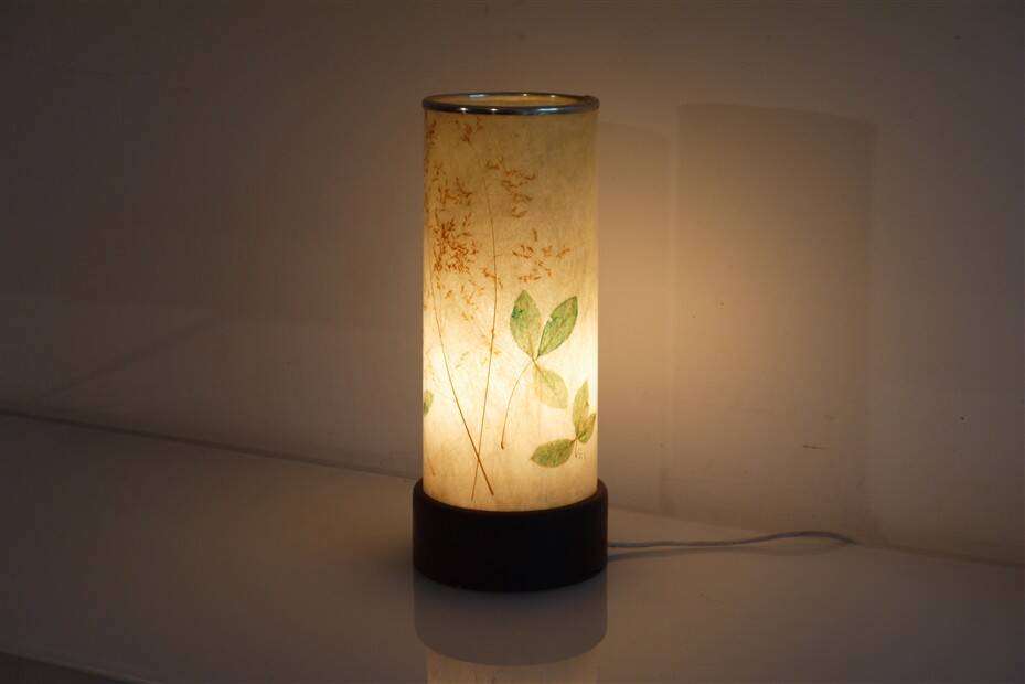 Swedish lamp in fibreglass and teak