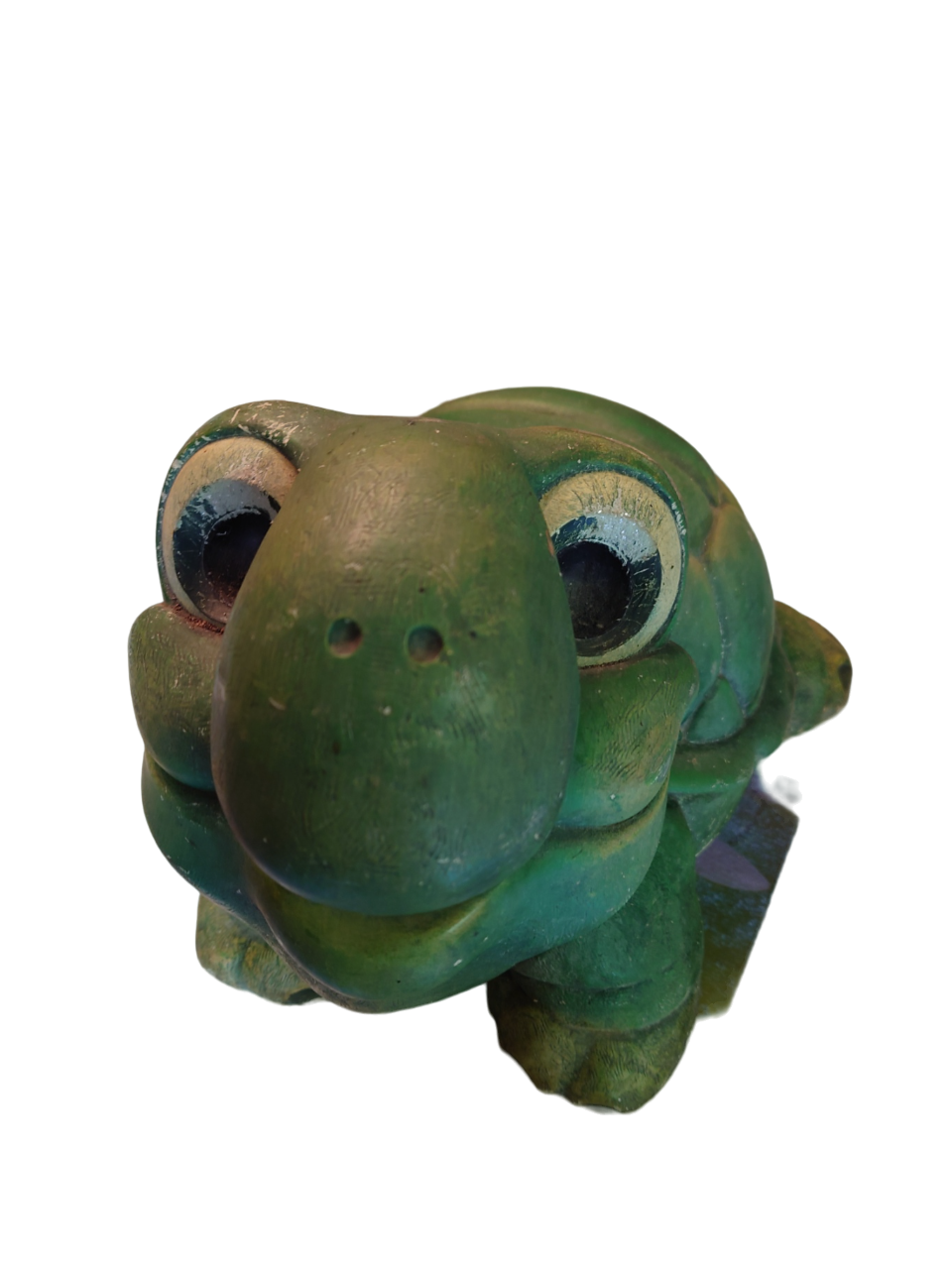 Green turtle in concrete