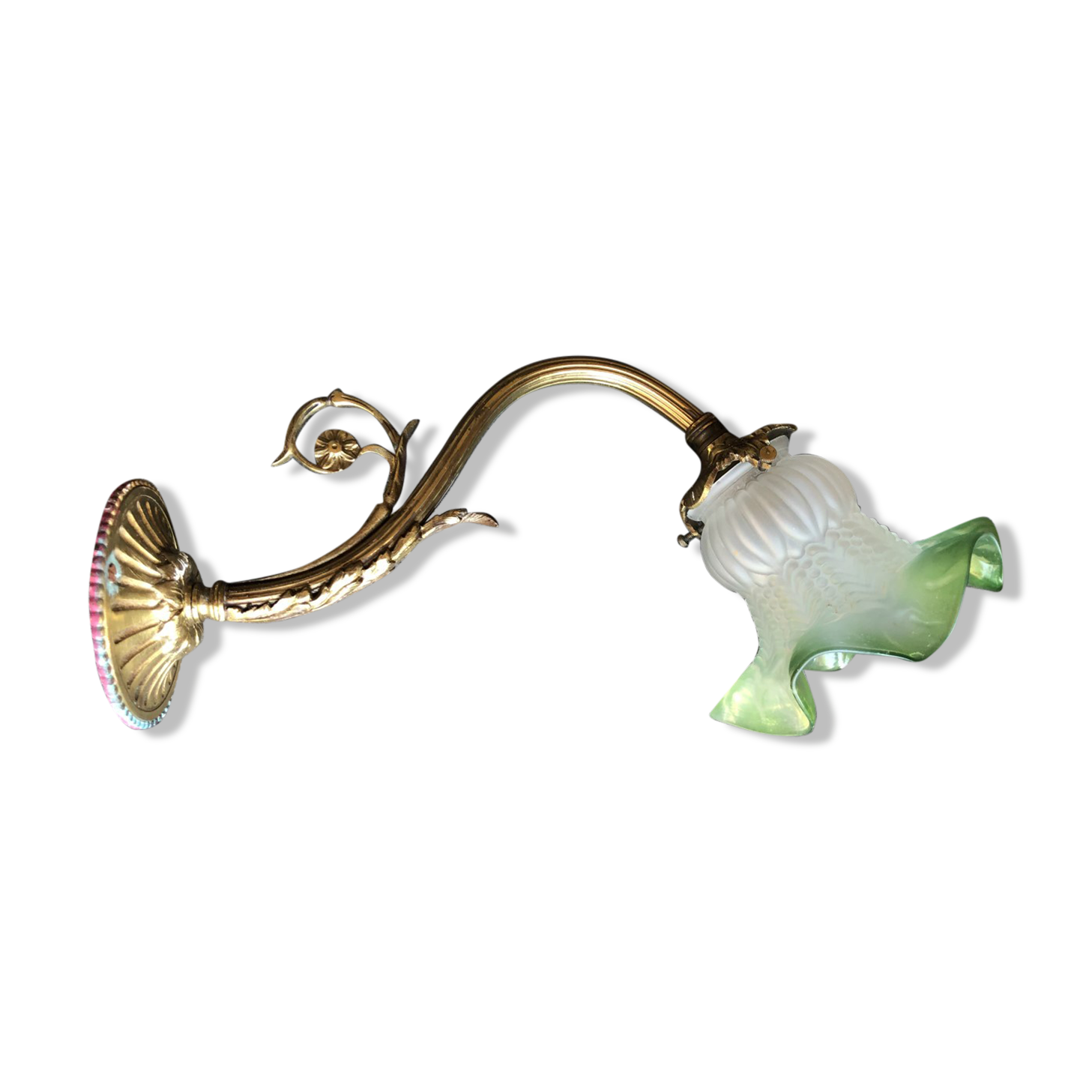 Ancient tulip applied