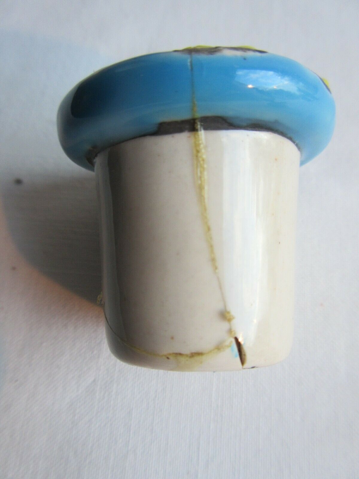 Double ink in enamels like Longwy  blue ceramic: Peonies and Bird