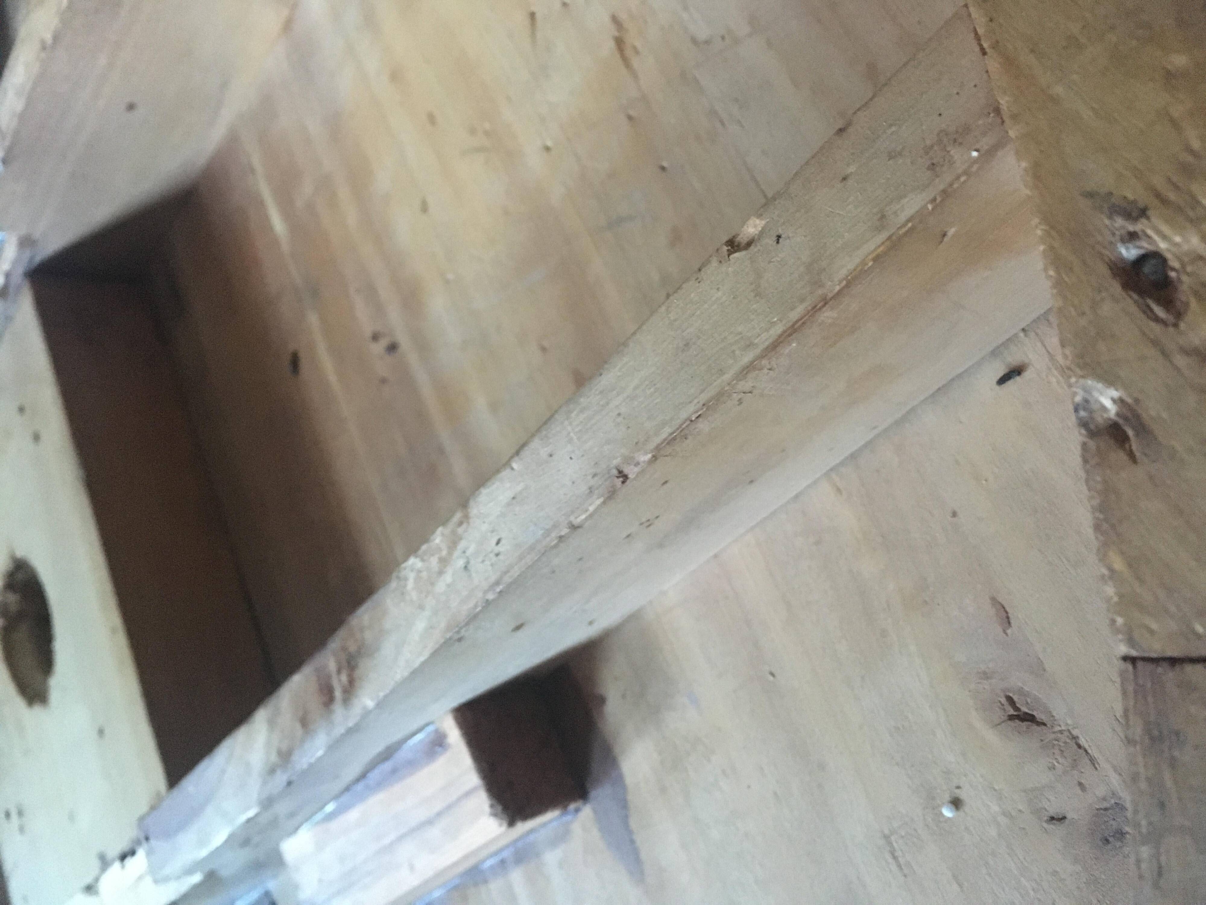 19th Century Louis Philippe Sorrento Walnut Parquetry Center Table