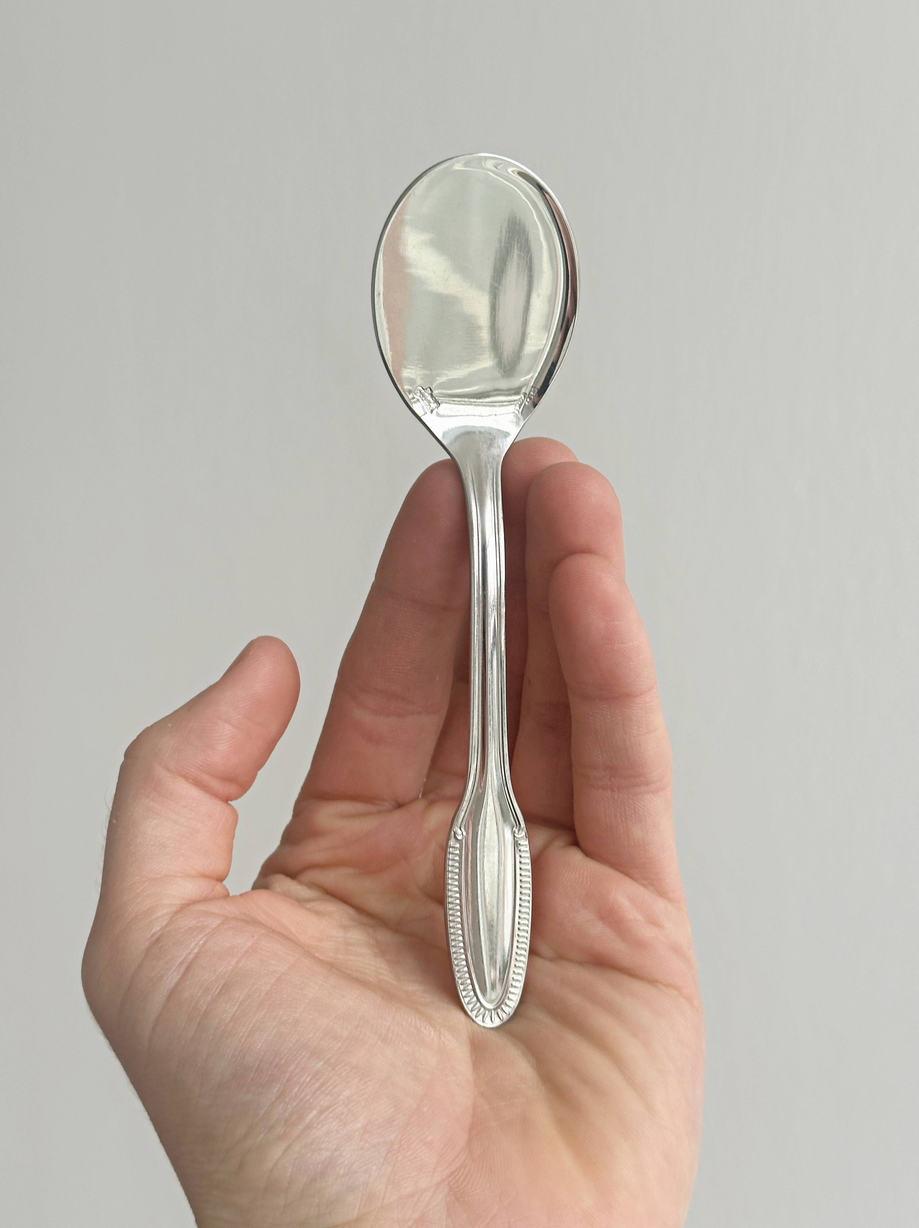 6 spoons Guy Degrenne