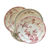 Set de 4 assiettes plates Longwy rose  Longchamps  vert tendre & parme